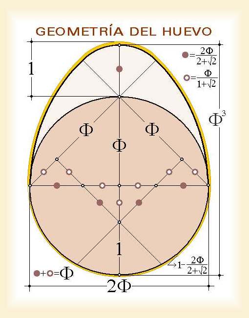 Geometria De La Parabola